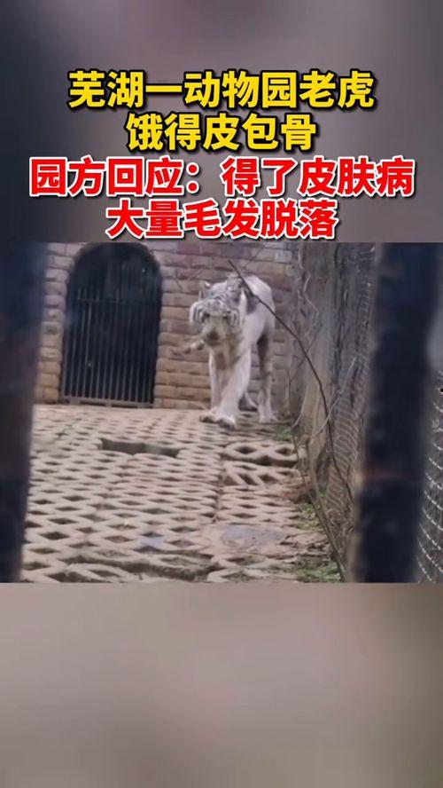 今日动物爆料最新消息新闻,最新奇特的动物新闻盘点 第1张 今日动物爆料最新消息新闻,最新奇特的动物新闻盘点 第1张